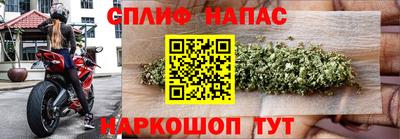 ALPHA PVP Пугачёв