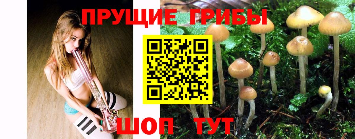 Псилоцибиновые грибы MAGIC MUSHROOMS  Вход с VPN  Приморско-Ахтарск 